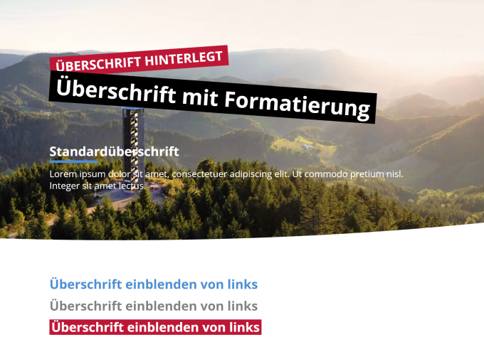 Überschrift: Zusätzliche Formatierungen auswählbar