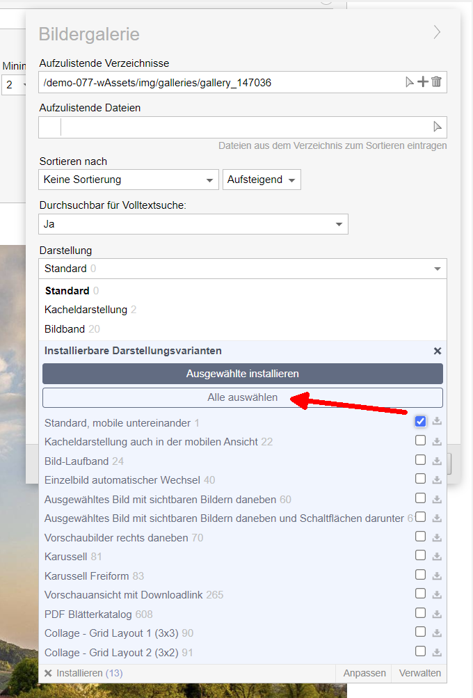 Version 19: Editor - Alle installierbaren CSS-Varianten zur Installation ausgewählen