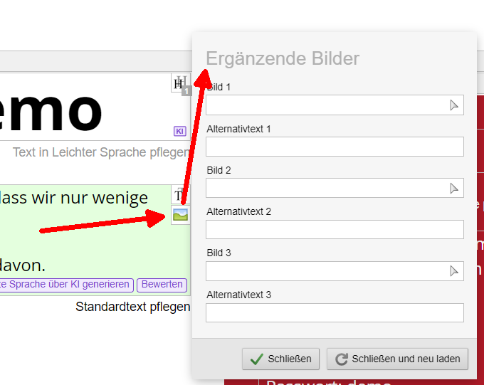 Fliesstext: Pflege Leichte Sprache - bis zu drei Bilder zur Erklärung