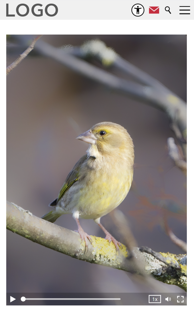 Video lokal: Alternatives Video und Vorschaubild hochkant im Portraitmodus