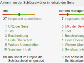 Google-Ranking verbessern mit Weblication®