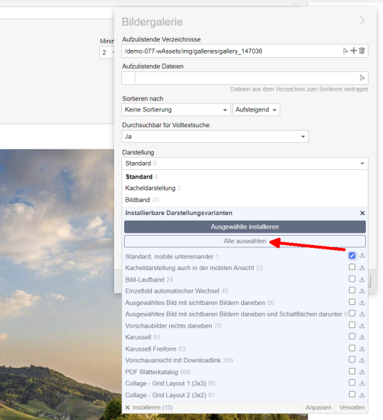Alle installierbaren CSS-Varianten zur Installation auswählen