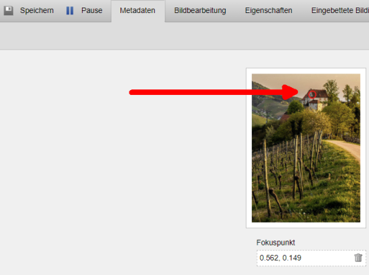 Bild-Fokuspunkt einstellen