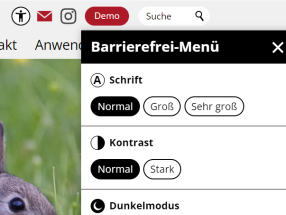 Weblication® Version 19: Barrierefrei-Menü