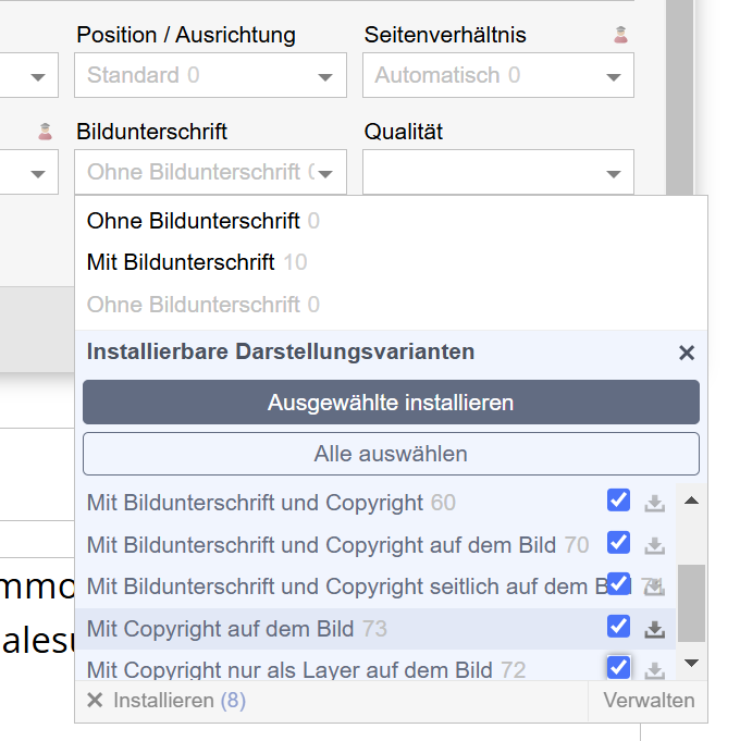 Copyright bei Ausgabe in Website als Layer über Bild legen
