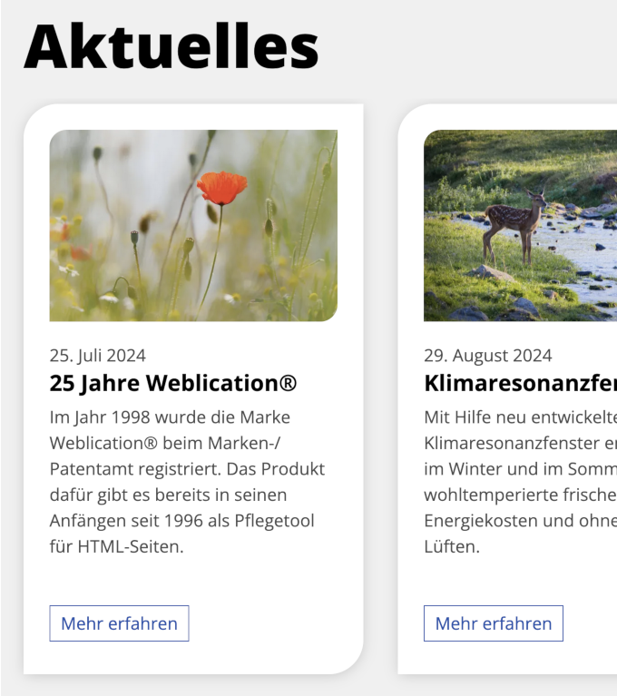 Liste: Box-Darstellungen im Layout-Wizard als CSS-Only Untervarianten