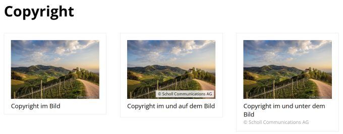 Copyright bei Ausgabe in Website als Layer über Bild legen
