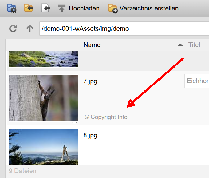 Bild-Copyright Informationen werden in Dateiverwaltung angezeigt