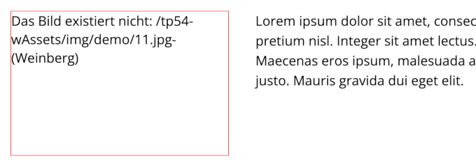 Linkprüfung: Fehlende Bilder werden von Prüfung erfasst