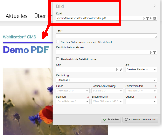 Bild-Element stellt PDF dar