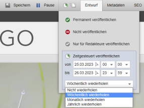 Version 18: Seiten intervallgesteuert online/offline schalten