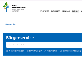 OZG-konformen Bürgerservice in kommunale Weblication®-Projekte einbinden