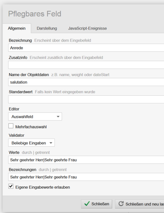 Objekt-Editor: Einstellung für Auswahlfeld mit manueller Eingabe