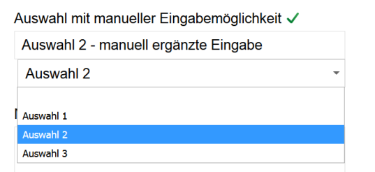 Formular: Auswahlfeld mit manueller Eingabe
