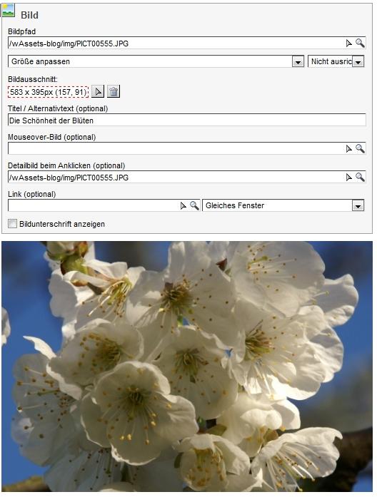 Die Schönheit der Blüten