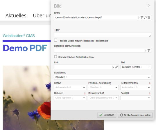 Bildergalerien mit Weblication