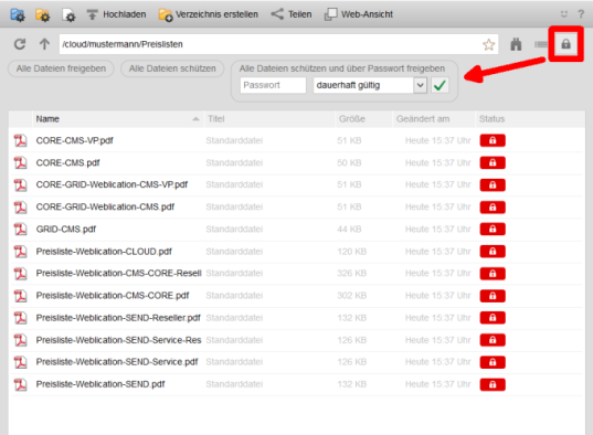 So schützen Sie alle Dateien in einem Verzeichnis mit einem Passwort