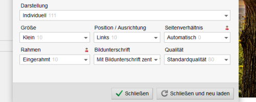 Konfiguration der individuellen CSS-Only Darstellungsvariante