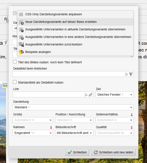 Klicken Sie danach auf: "Neue Darstellungsvariante auf dieser Basis erstellen"