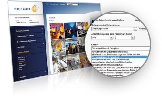 CSS-Only Variante auswählen