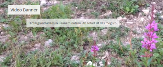 Videos im Banner Slider nutzen