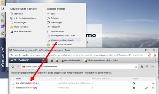 Einrichten: Rufen Sie im Bedien-Panel -> Globale Inhalte -> Wiederverwertbare Inhalte auf