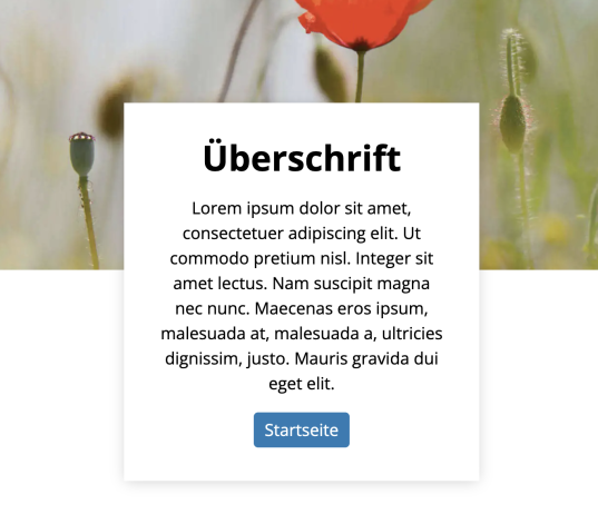 Inhaltsbereich mit von unten überlappenden Boxen