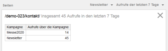 Auswertung von Kampagnen auf eine definierte Seite