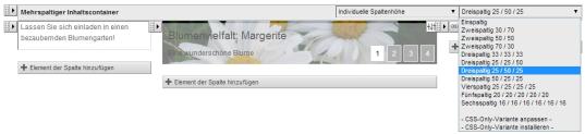 Mehrspaltiger Inhaltscontainer - Auswahl über CSS-Only Varianten
