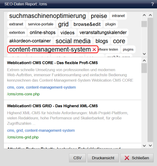 SEO-Report mit Seiten-Filter nach Schlüsselwörter über Tag-Cloud