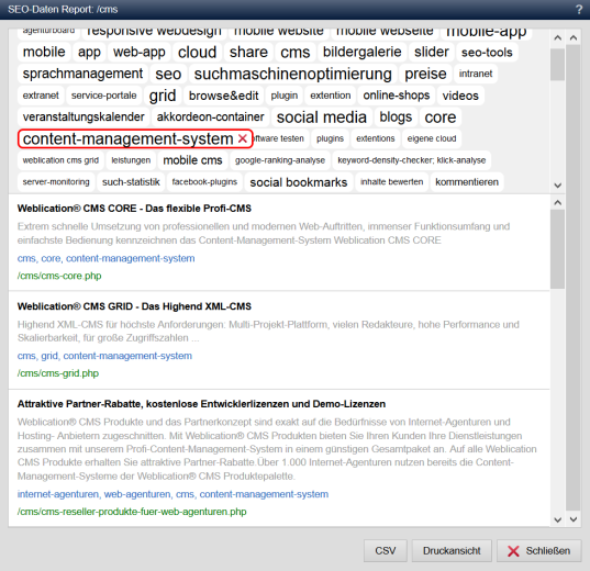 SEO-Report in Seiteninfo aufrufbar
