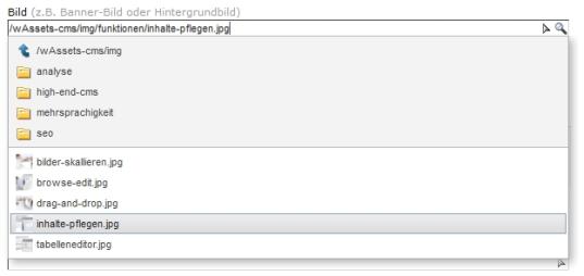 Suggest-Funktion im Eingabefeld