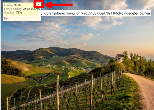 Version 16: Bildbreitenberechnung in Browse&Edit löschen