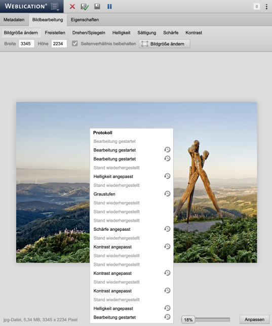 Protokollierung und Wiederherstellung voriger Versionen