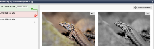 Editor: Versionenvergleich von bearbeiteten Bildern - Anzeige der Bilder nebeneinander