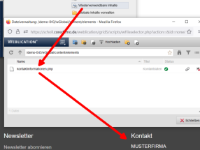 Wiederverwendbare Inhalte an beliebigen Stellen anzeigen