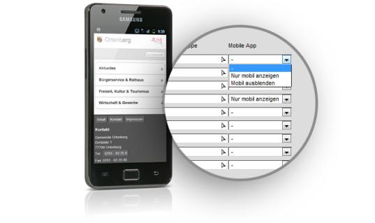 Mobile-App Darstellung