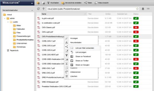 CSS-Only Variante auswählen