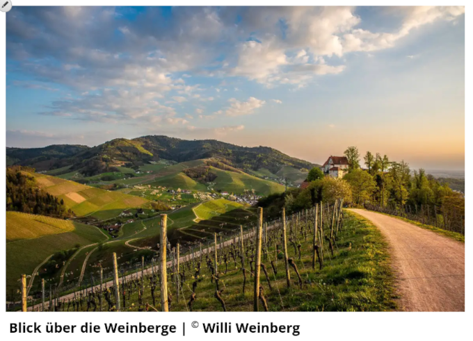 Bild: Hochzustellende Zeichen über CSS-Only definieren z.B. ©|®|™