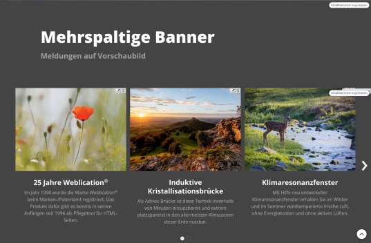 Mehrspaltiger Banner