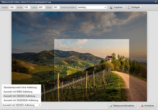 Editor: Auswahl Bildauschnitt mit Unterteilungen