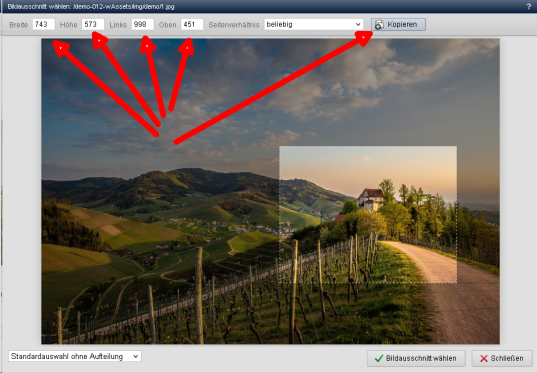 Bildausschnitt kopieren